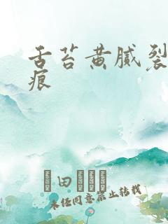 舌苔黄腻裂纹齿痕