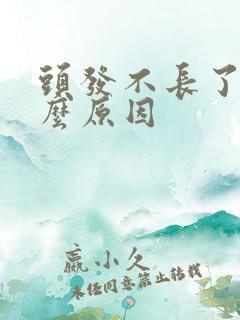 头发不长了是什么原因