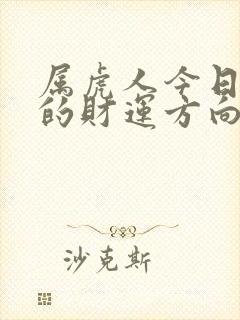 属虎人今日打牌的财运方向