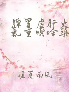 脾胃虚肝火旺湿气重吃啥药