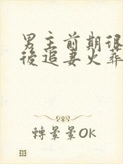 男主前期很花心后追妻火葬场