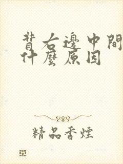 背右边中间疼是什么原因