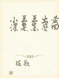 小弟弟出黄色的浓是怎么回事