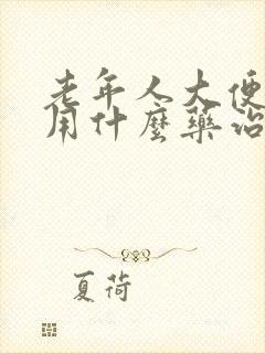 老年人大便失禁用什么药治疗