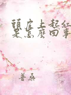 头皮上起红疙瘩是怎么回事