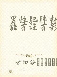 男性肥胖对性功能有没有影响