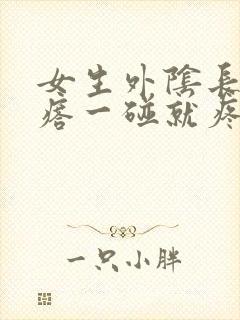 女生外阴长硬疙瘩一碰就疼