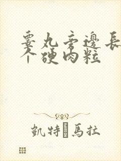 睾丸旁边长了一个硬肉粒