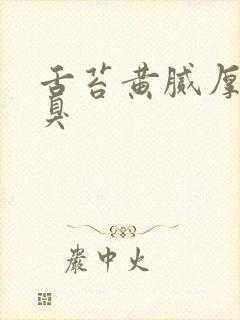 舌苔黄腻厚 口臭