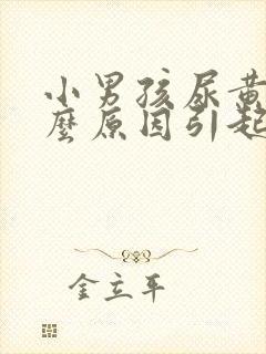 小男孩尿黄是什么原因引起的