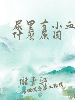 尿里有小血块是什么原因