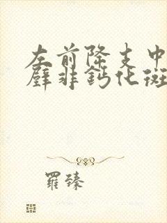 左前降支中段管壁非钙化斑块,管腔轻度狭窄