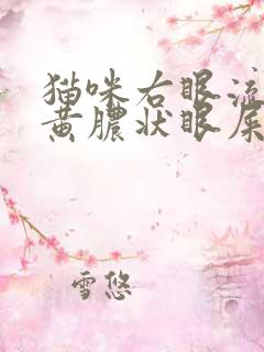 猫咪右眼流泪有黄脓状眼屎