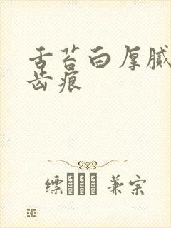 舌苔白厚腻 有齿痕