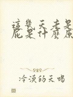 这几天老是爱放屁是什么原因