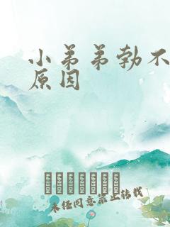 小弟弟勃不起的原因