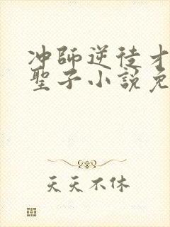 冲师逆徒才不是圣子小说免费观看