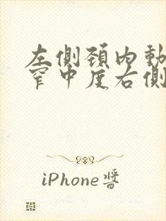 左侧颈内动脉狭窄中度右侧颈部动脉狭窄