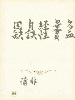 因月经量多导致缺铁性贫血吃什么药