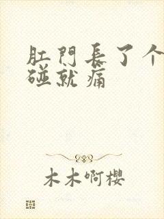 肛门长了个包一碰就痛