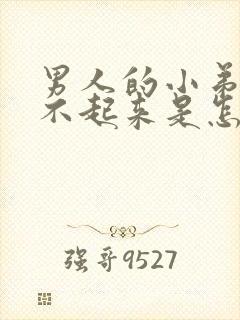 男人的小弟弟硬不起来是怎么回事