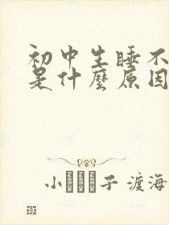 初中生睡不着觉是什么原因造成的