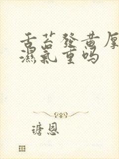 舌苔发黄厚腻是湿气重吗