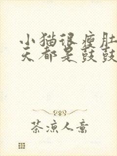 小猫很瘦肚子天天都是鼓鼓的还很软怎么回事