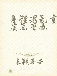 身体湿气重肾阴虚怎么办