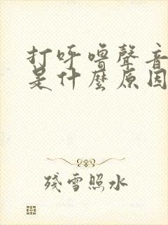 打呼噜声音很大是什么原因引起的