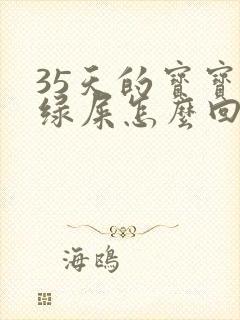 35天的宝宝拉绿屎怎么回事