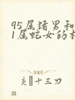 95属猪男和01属蛇女的相配吗