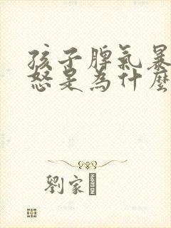 孩子脾气暴躁易怒是为什么