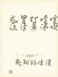 感冒打喷嚏鼻塞流清鼻涕吃什么药