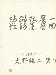 幼猫拉屎一粒一粒的怎么回事