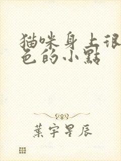 猫咪身上很多黑色的小点