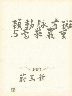 颈动脉有斑块1.5毫米严重