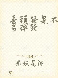 长头发是不是容易掉发