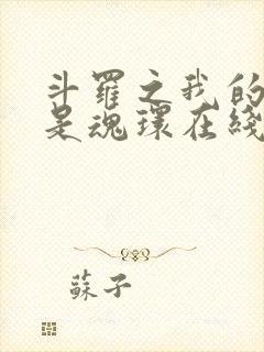 斗罗之我的武魂是魂环在线阅读全文