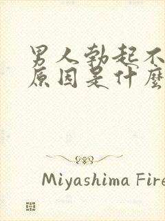 男人勃起不坚的原因是什么