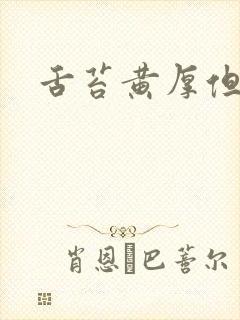 舌苔黄厚但不腻