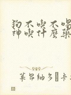 狗不吃不喝没精神吃什么药管用