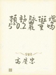 颈动脉斑块0.5*0.2严重吗