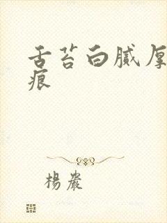 舌苔白腻厚有齿痕