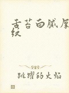 舌苔白腻厚有裂纹