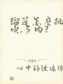 榴莲怎么挑才好吃,多肉?