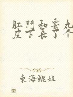 肛门和睾丸之间皮下长了个硬疙瘩