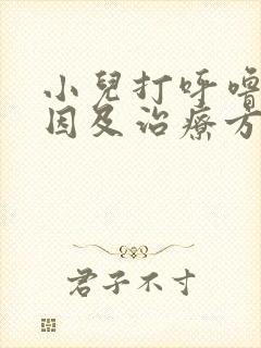 小儿打呼噜的原因及治疗方法