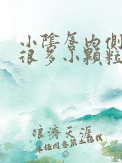 小阴唇内侧长了很多小颗粒特别痒