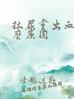 拉尿会出血是什么原因